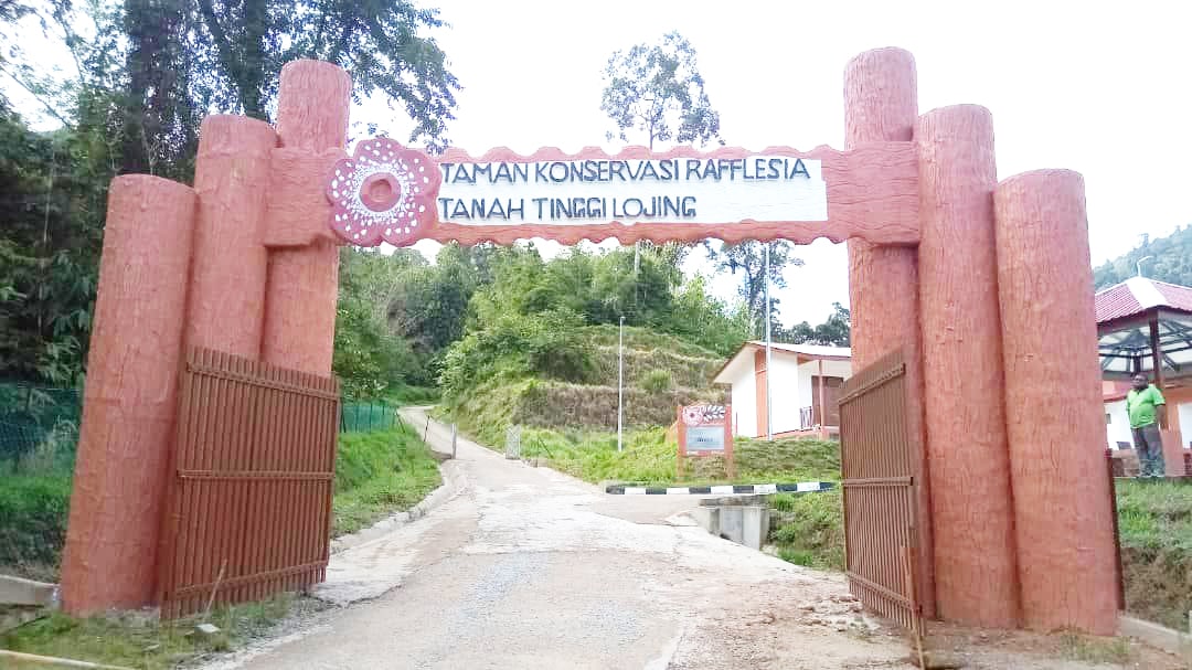 Taman Konservasi Rafflesia Lojing Highlands