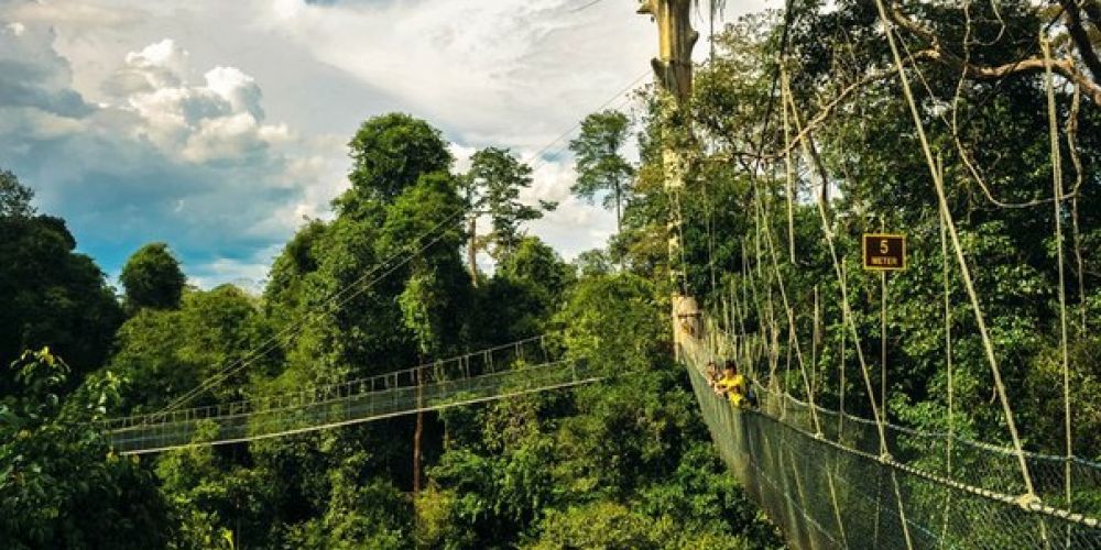 Kuala Koh National Park A90f9eab